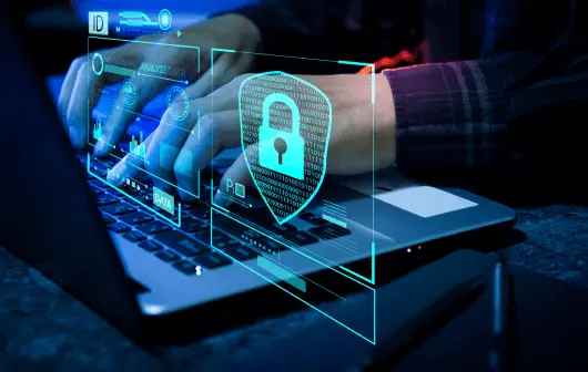 Seguridad y calidad