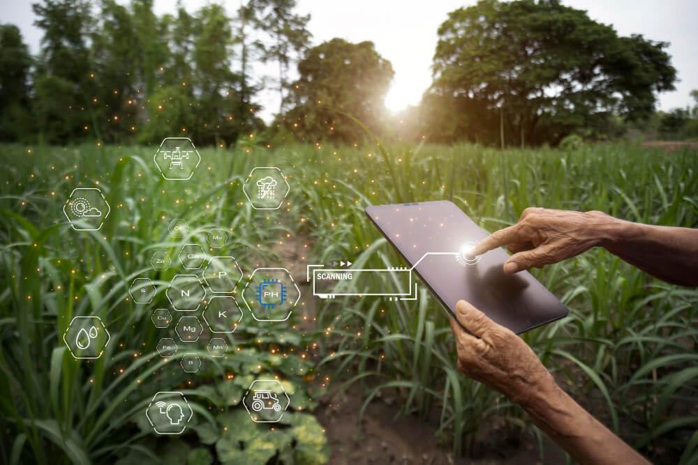 Como usar a tecnologia a favor do meio ambiente?